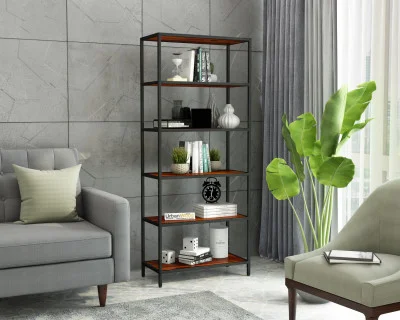 EagleEye Book Shelves 