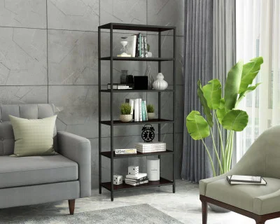 EagleEye Book Shelves 