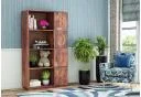 Teak