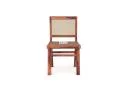 Teak