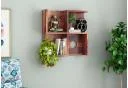 Teak